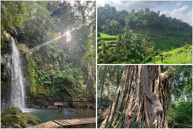 Countryside and Rice Fields Walking Guided Tour in Ubud - The Value of the Experience