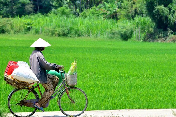 Countryside Bicycle Tour from Hoi An - All Inclusive - The Sum Up