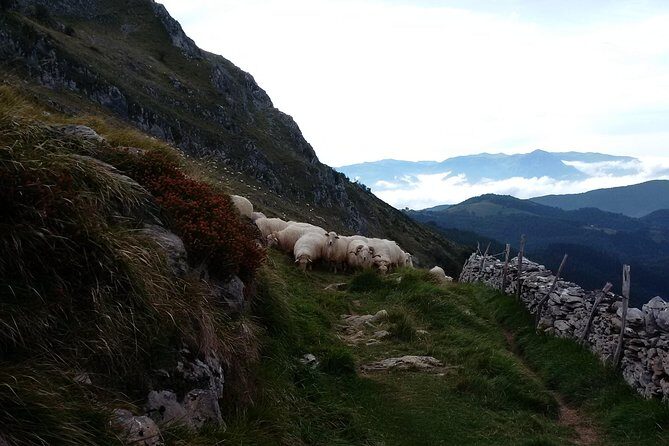 Countryside & Coast Private tour - Exploring Tolosa and Mount Ernio