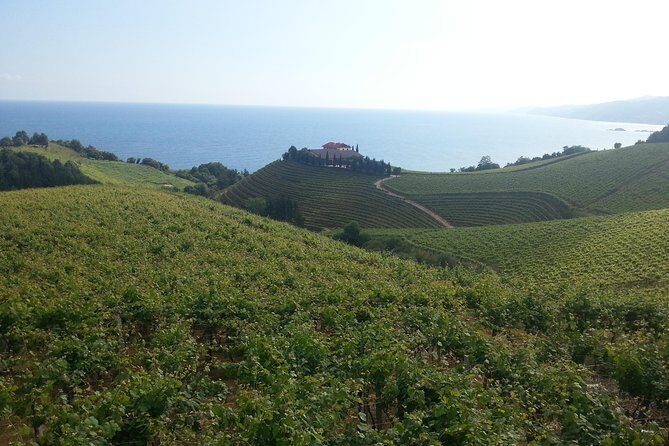 Countryside & Coast Private tour - Getaria Fishing Port & Gourmet Delights