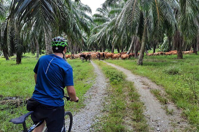 Countryside Cycling Tour. T1.0 by Matahari - Final Thoughts