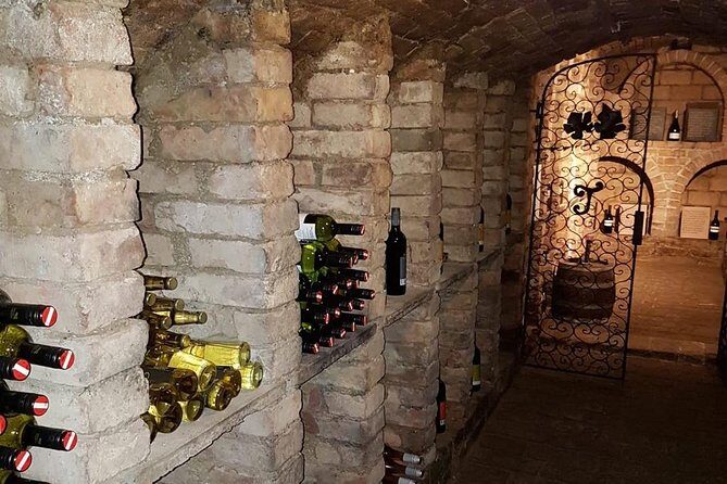 Countryside Half Day Wine Tour near Vienna - A Closer Look at the Experience