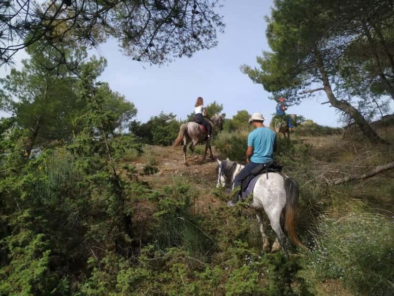 Countryside Horseback Ride in Gjinofshat - The Value of the Tour