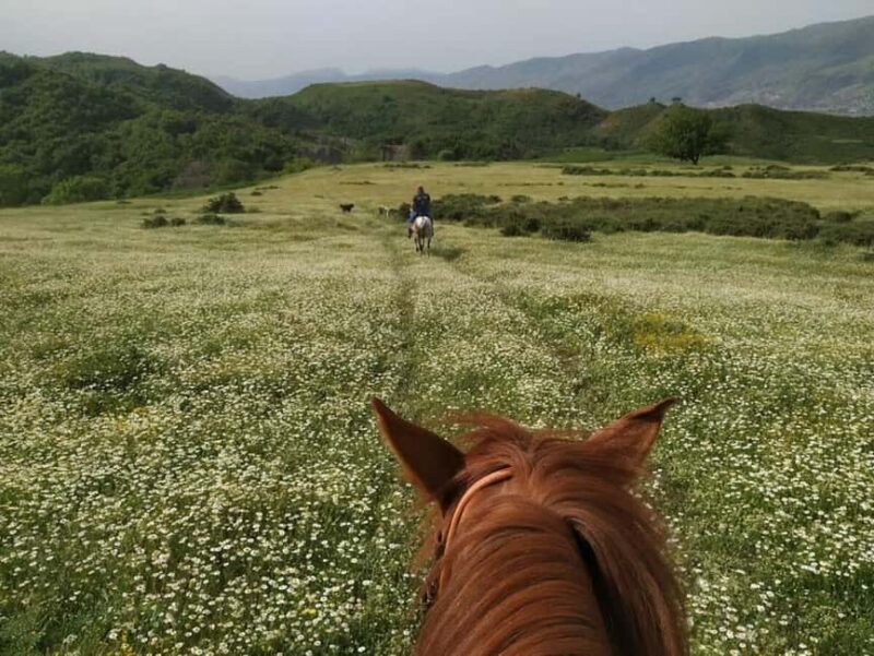 Countryside Horseback Ride in Gjinofshat - The Sum Up: Who Is This Tour Best For?