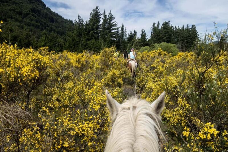 Countryside Immersion with Horseback Ride in Sainte Victoire - Scenic Horseback Riding in Sainte Victoire