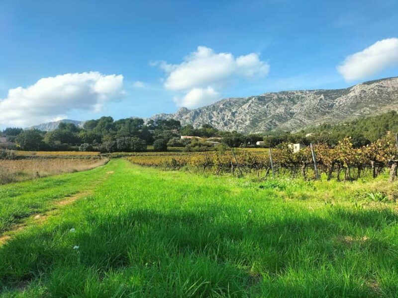 Countryside Immersion with Horseback Ride in Sainte Victoire - Considerations
