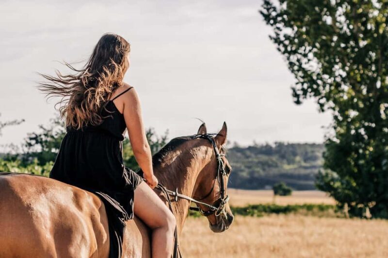 Countryside Immersion with Horseback Ride in Sainte Victoire - Who Is This Tour Perfect For?