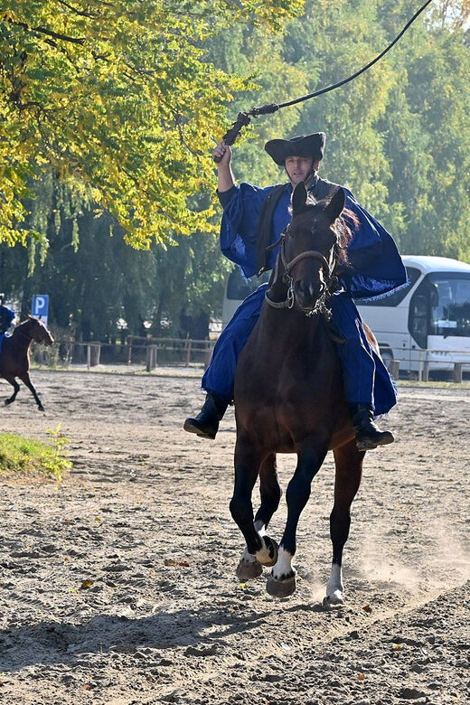 Countryside ranch, horse show & lunch - Final Thoughts