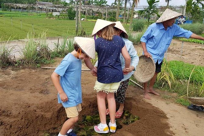 Countryside Tour of Hoi An, Basket Boat, Buffalo ride, Farming with local Farmer - Final Thoughts