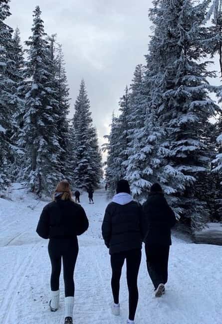 Courchevel: Scenic Walk to Lac de la Rosière - FAQ
