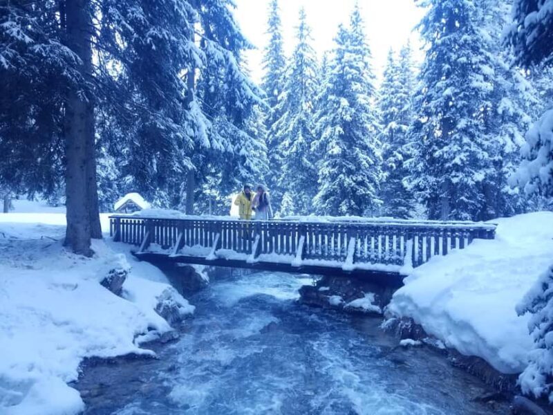 Courchevel: Snowshoeing or Nordic Walking - Key Points