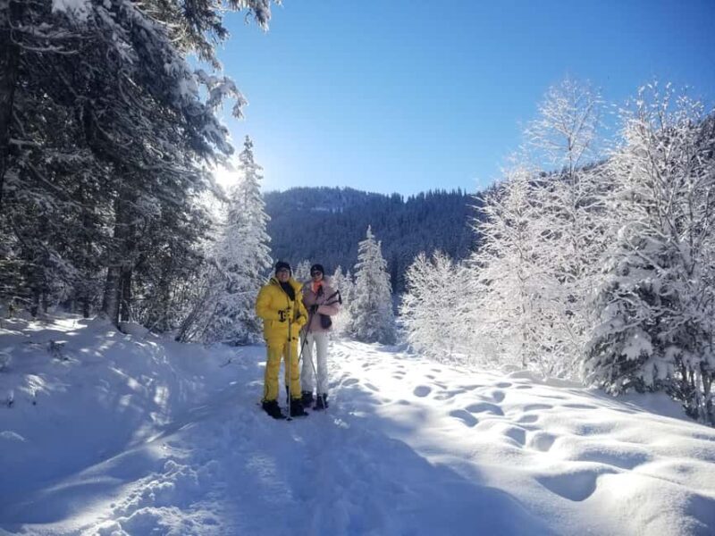 Courchevel: Snowshoeing or Nordic Walking - An In-Depth Look at the Snowshoeing and Nordic Walking Tour in Courchevel
