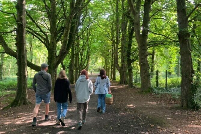 Courtown Woodland Guided Tour - A Deep Dive Into What to Expect