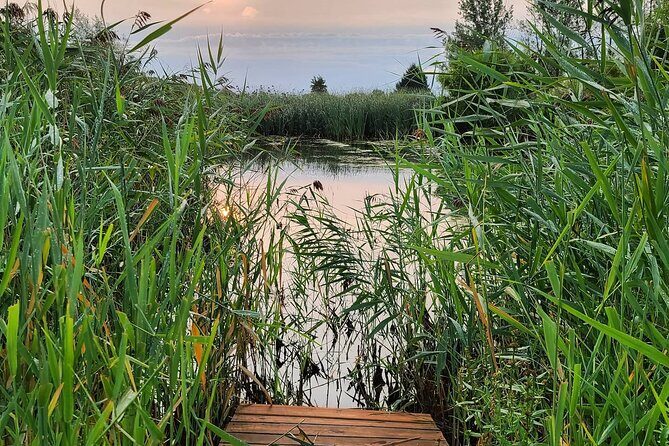 Cow Cuddles Moo Moo Bovine Therapy - Who Is This Best For?