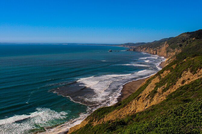 Cow Heaven: A Self-Guided Driving Tour from Point Reyes Seashore to Tomales - The Experience: What You Can Expect