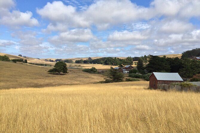 Cow Heaven: A Self-Guided Driving Tour from Point Reyes Seashore to Tomales - The Sum Up