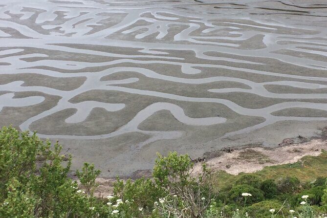 Cow Heaven: A Self-Guided Driving Tour from Point Reyes Seashore to Tomales - FAQ