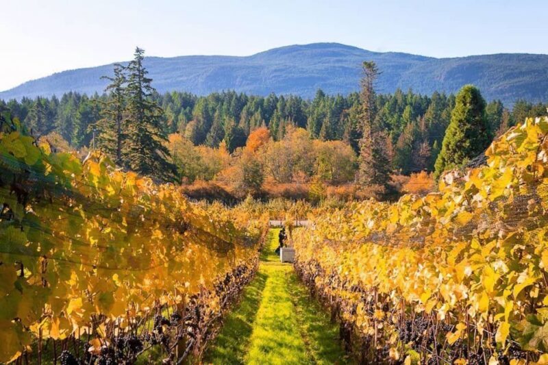 Cowichan Valley Premium Wine Tour - What to Keep in Mind