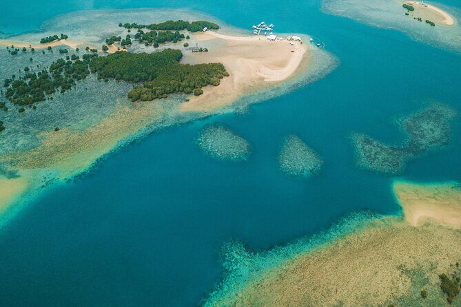 Cowrie Island (Honda Bay) Full-day Shore Excursion - Who Would Love This Tour?