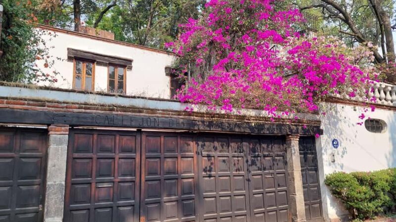 Coyoacán: A Tour of Coyoacán's Cinema, Arts, and Culture - Who Will Love This Tour?