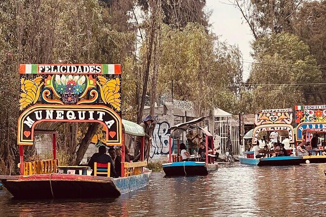 Coyoacan and Lake Xochimilco Magic Quarter Private Tour - The Experience: What Travelers Can Expect