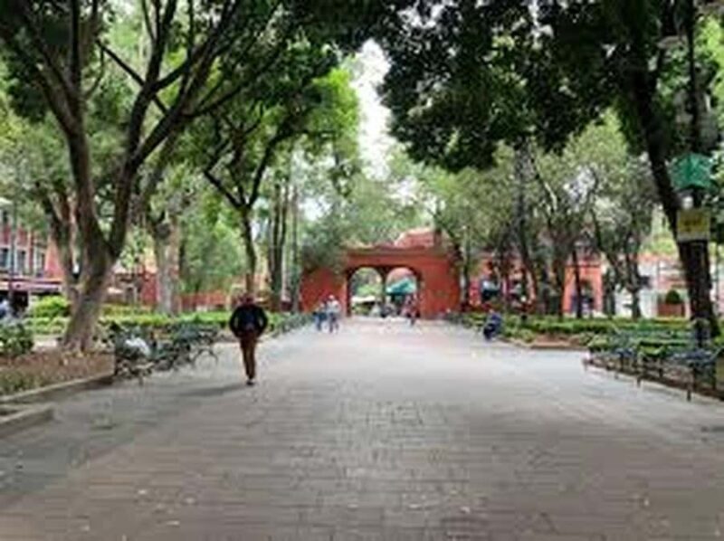 Coyoacán at night: a tour of legends, mysteries, and stories of Mexico City - What Reviewers Say