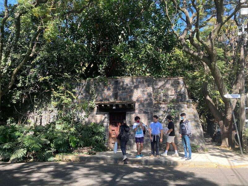 COYOACAN: FRIDA KAHLO STEPS IN COYOACAN AND SAN ANGEL CDMX - Who Is This Tour Best For?