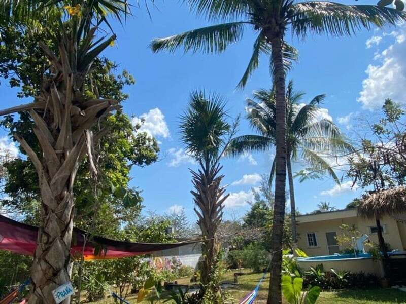 Cozumel: 10 Day 200-Hour Yoga Teacher Training - Practical Considerations