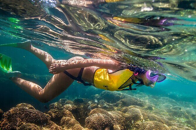 Cozumel 3 Reefs Snorkel - Who Should Book This Tour?