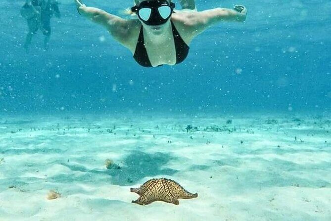 Cozumel 4 Hour Boat Sky Tour - Key Points