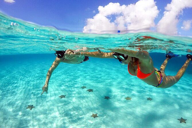 Cozumel 4 Hour Boat Sky Tour - Real Traveler Feedback & Insights