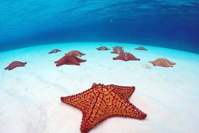 Cozumel 4 Hour Boat Sky Tour - Practical Details & Tips