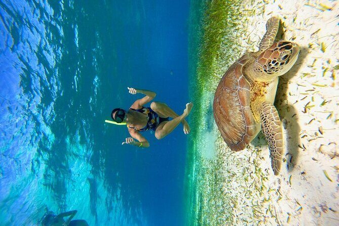 Cozumel 4 Hour Boat Sky Tour - FAQ: Frequently Asked Questions