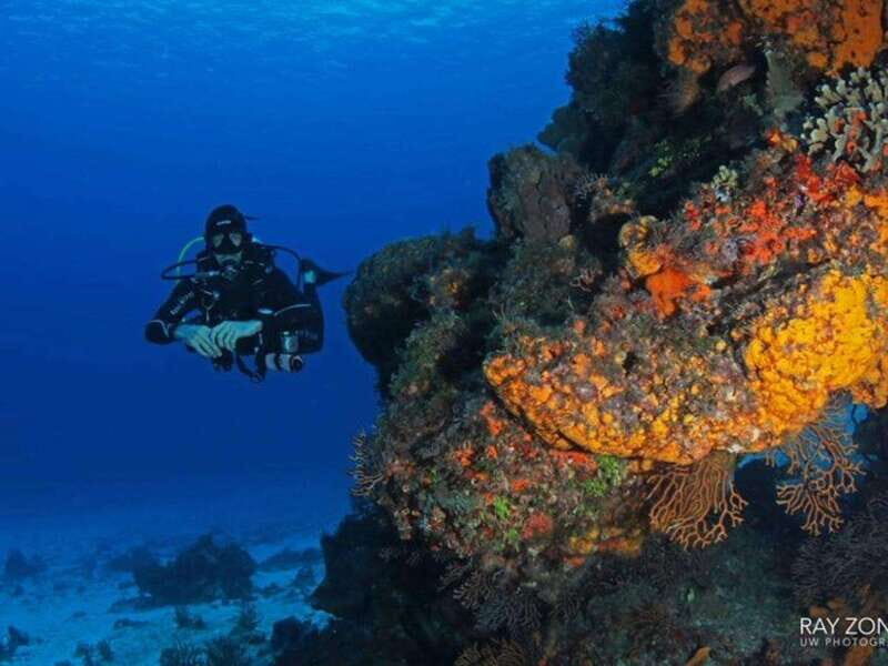 Cozumel: 6 Days Yoga, Sound Healing, and Dive Retreat - The Sum Up: Is This Retreat Right for You?