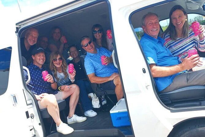 Cozumel Airport & Cruise Terminal Transfers - Why Choose This Transfer Service?