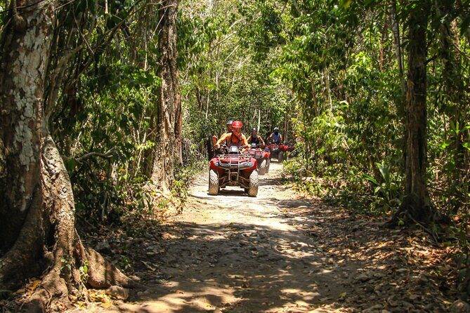 Cozumel ATV Tour & Beach Break - Authentic Experiences and Real-World Feedback