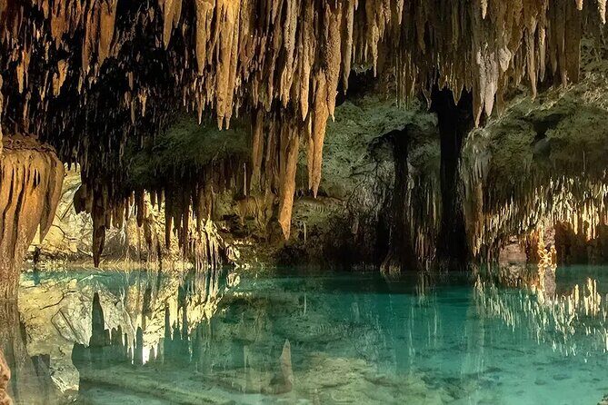 Cozumel ATVs, El Cedral Ruins, Cenote Jade, and Tequila - Introduction: Why this Cozumel ATV Tour Might Be a Great Pick