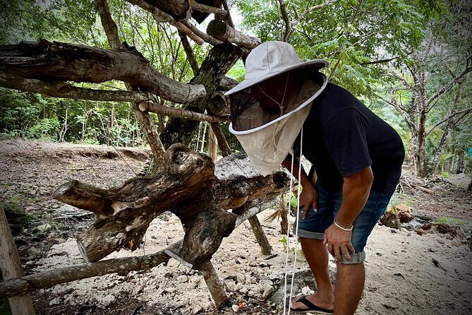 Cozumel: Bee Farm + Honey & Chocolate Tasting + Sightseeing - A Little About Cozumel and Why This Tour Works