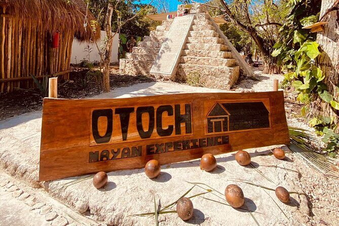 Cozumel Best Spots (Beach-Mayan Park-Downtown) - The Experience of a Typical Day