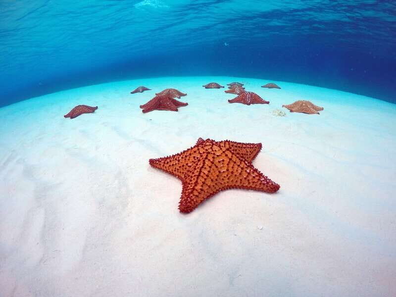 Cozumel: Catamaran, El Cielo Bay & Palancar Reef with Lunch - Key Points