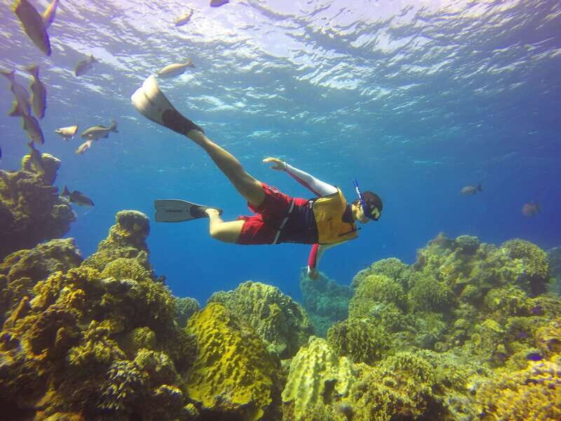 Cozumel: Catamaran, El Cielo Bay & Palancar Reef with Lunch - An Authentic Cozumel Experience in a Nutshell