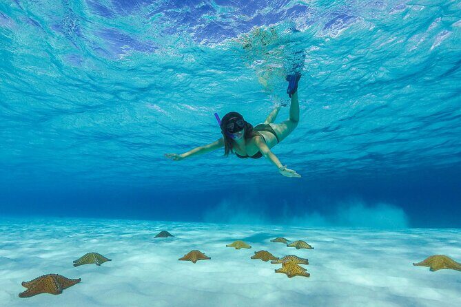 Cozumel Catamaran Snorkel Tour: El Cielo & Palancar with lunch - Key Points