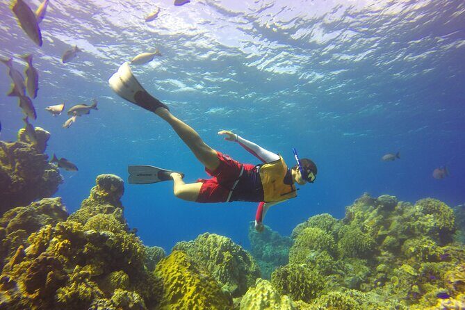 Cozumel Catamaran Snorkel Tour: El Cielo & Palancar with lunch - Summary and Final Thoughts