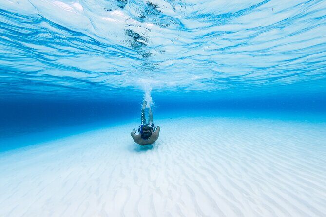 Cozumel Catamaran Snorkeling Tour & lunch® - What the Reviews Say