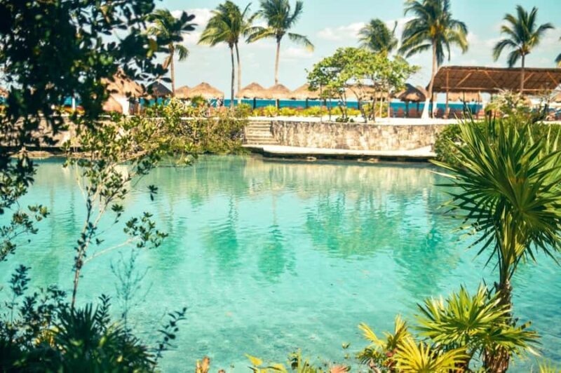 Cozumel: Chankanaab Park All-Inclusive Experience with Pool - An In-Depth Look at the Chankanaab Park Experience