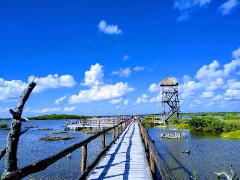 Cozumel: Classic Jeep or Buggy Island Tour to Punta Sur - Authentic Mexican Lunch with a View