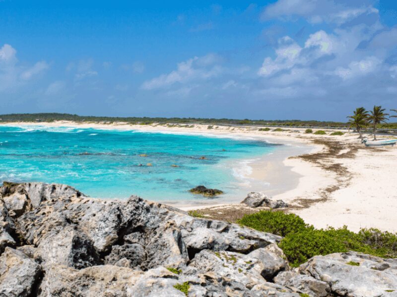 Cozumel: Classic Jeep or Buggy Island Tour to Punta Sur - Is This Tour Worth the Price?