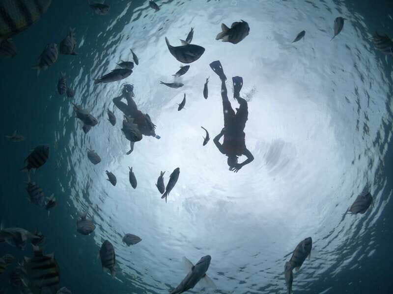 Cozumel: Clear Boat Ride and Snorkeling Trip - FAQ