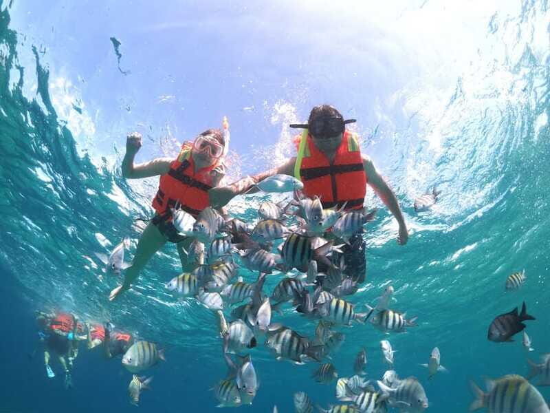 Cozumel: Clear Boat & Snorkel Tour - Additional Details to Consider