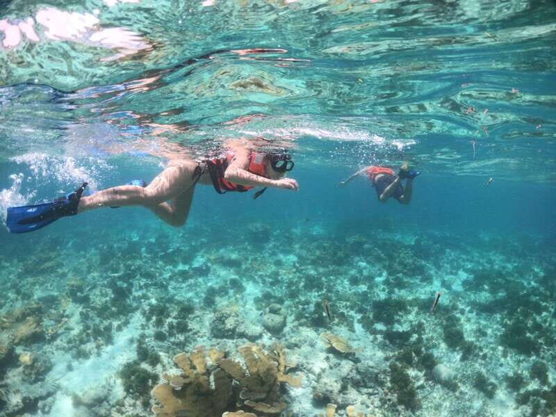 Cozumel: Clear Boat & Snorkel Tour - Who Will Love This Tour?